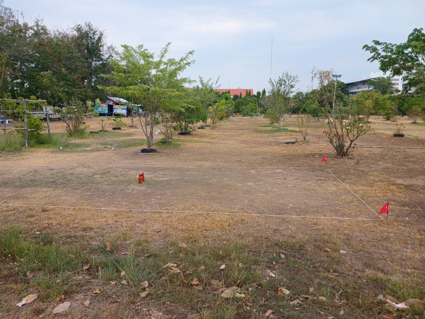 รูปที่ 1