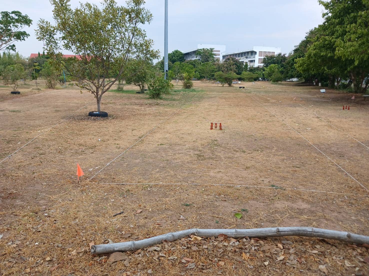 รูปที่ 2