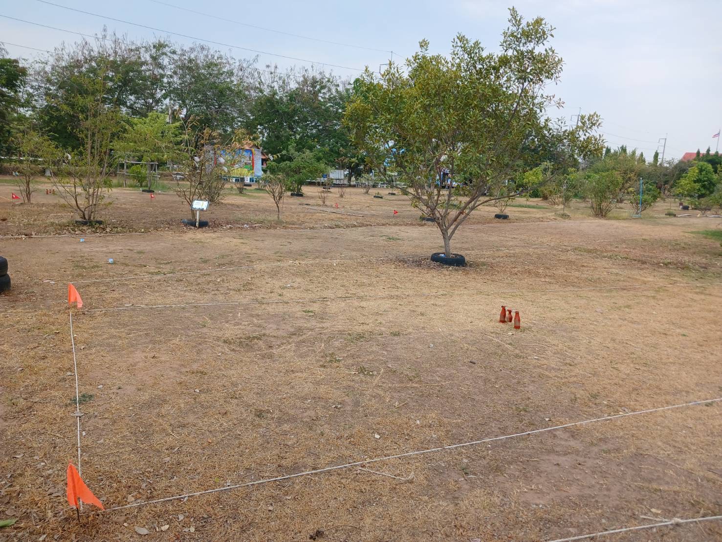 รูปที่ 3